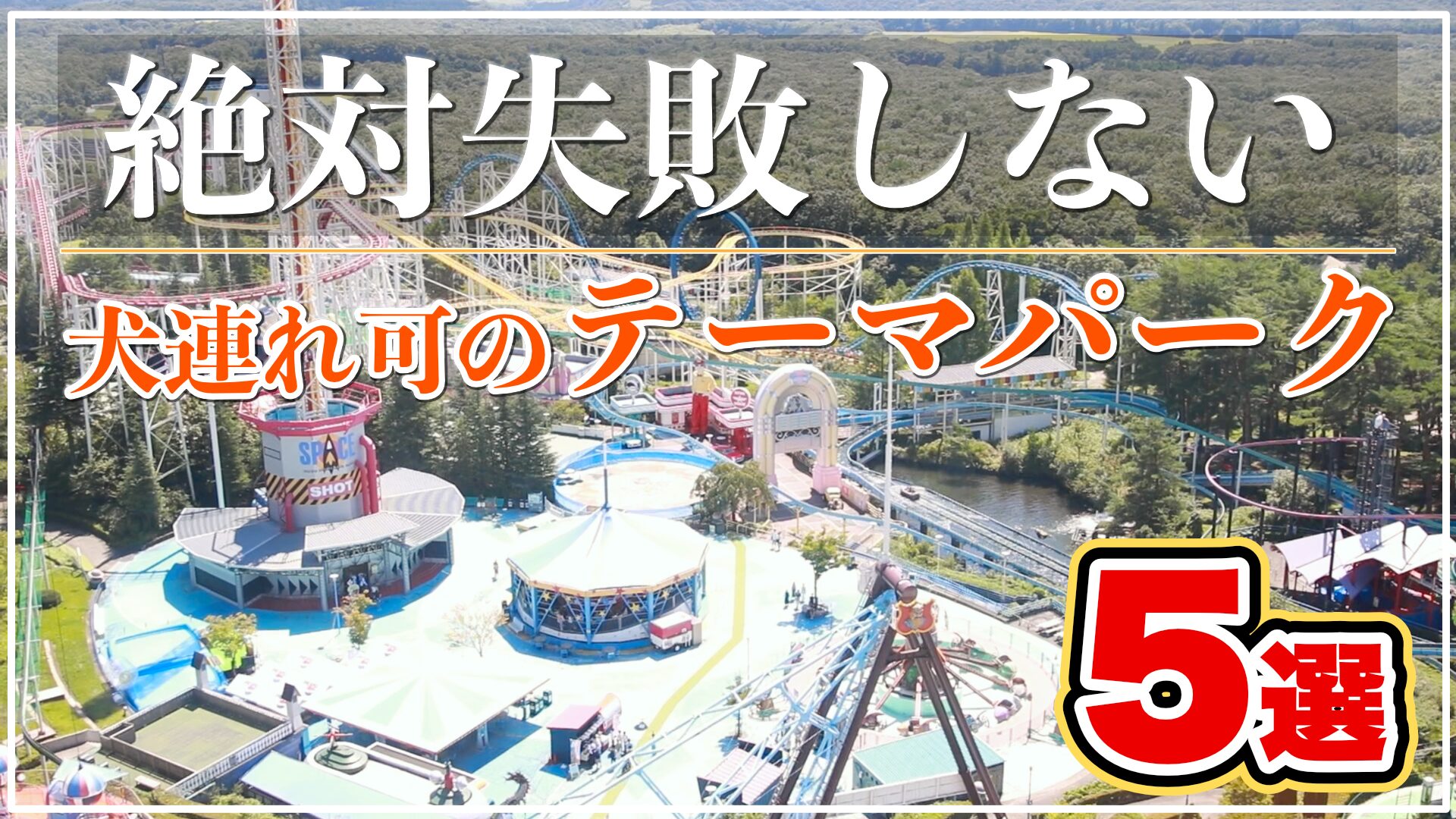 犬 と お出かけ 関東 日帰り